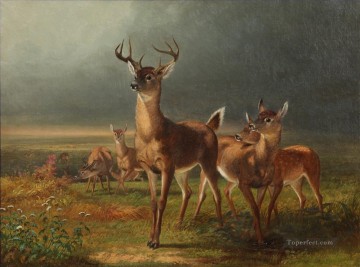 Deer On The Prairie William Holbrook Beard Ölgemälde